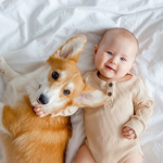 Vai ter um bebê e tem um cachorro em casa? Saiba como preparar essa convivência com carinho e equilíbrio