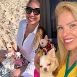 Após prisão, Veronica Costa é acusada de maus-tratos a animais; família reage