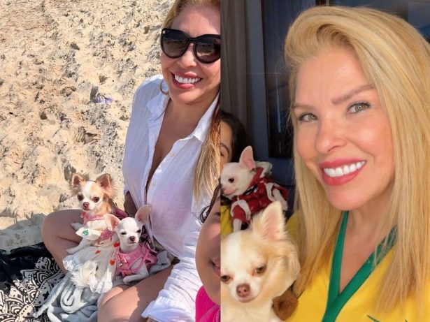 Após prisão, Veronica Costa é acusada de maus-tratos a animais; família reage