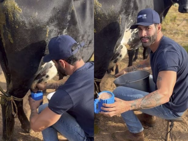 Gusttavo Lima tira leite da vaca e faz achocolatado para o filho: “De geração para geração”