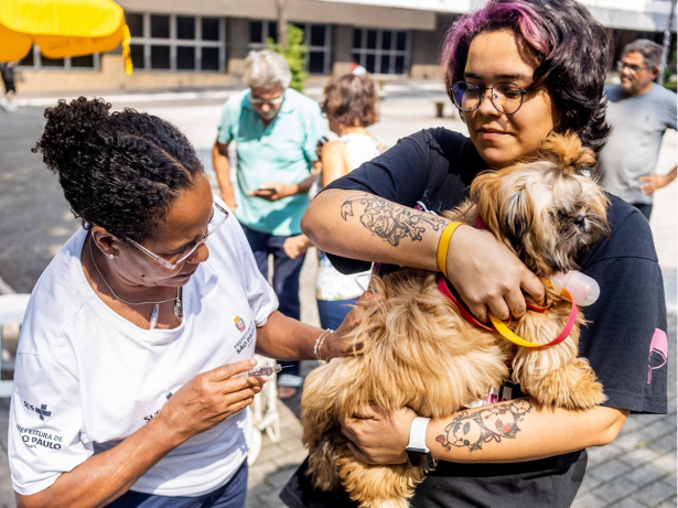 Prefeitura de SP realiza evento gratuito para vacinar e microchipar pets