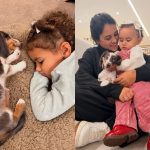 A família aumentou! Bruna Biancardi anuncia novo membro em residência com Neymar