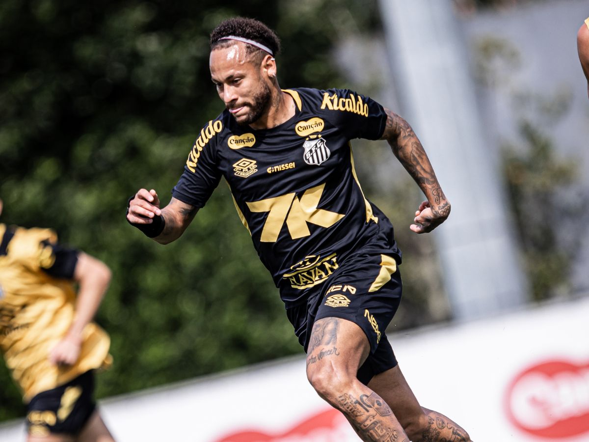 Foto: Raul Baretta/ Santos FC.