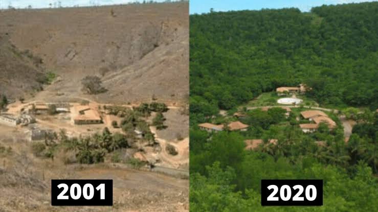 Reprodução/Instituto Terra