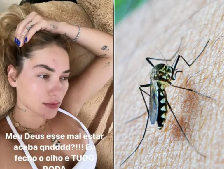 Infectologista explica quais são os sintomas da dengue e como se prevenir