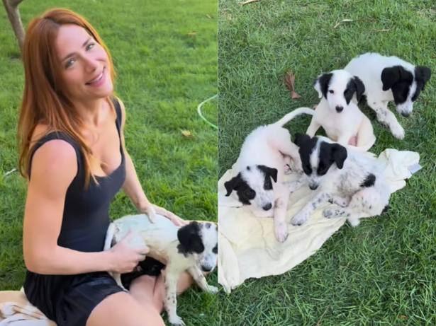 Giovanna Ewbank e família resgatam cachorros abandonados na estrada do rancho