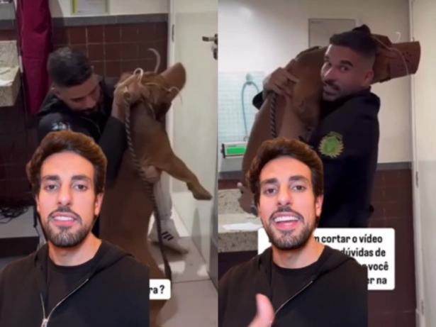 Nada de sedação: Veterinário cria método humanizado para cães difíceis