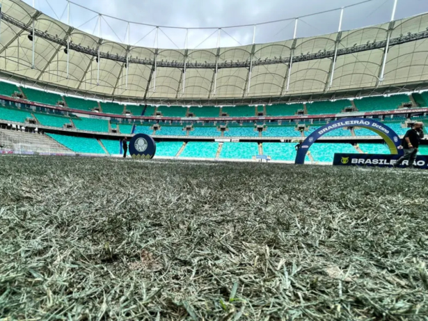 Gramado acinzentado da Fonte Nova gera polêmica e Palmeiras promete acionar CBF