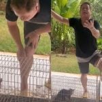 Leonardo diverte seguidores com “venda” de saruê: “Quem aí quer um pinscher puro?”