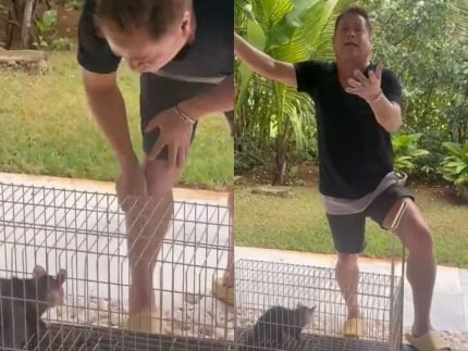 Leonardo diverte seguidores com “venda” de saruê: “Quem aí quer um pinscher puro?”