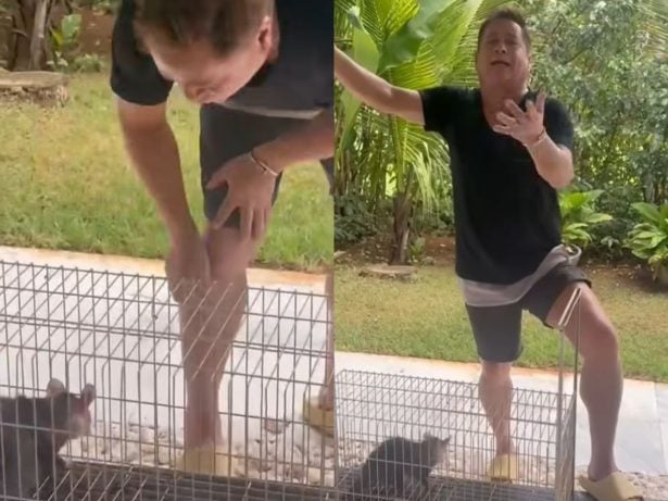 Leonardo diverte seguidores com “venda” de saruê: “Quem aí quer um pinscher puro?”
