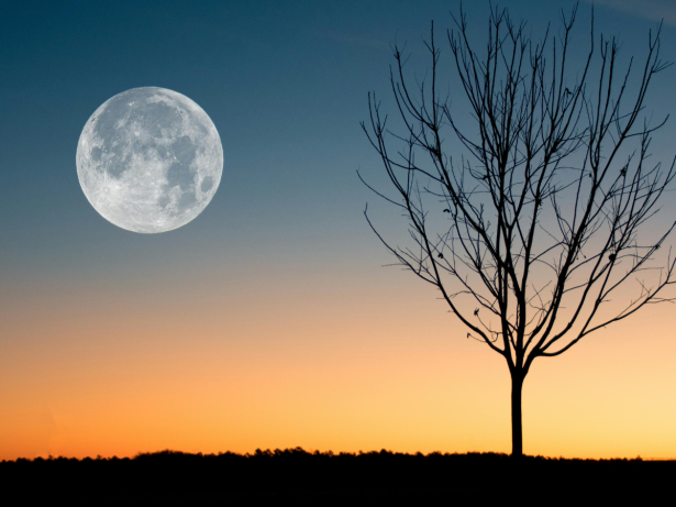 Hoje é noite de “Lua Cheia do Veado” – Aproveite a energia!