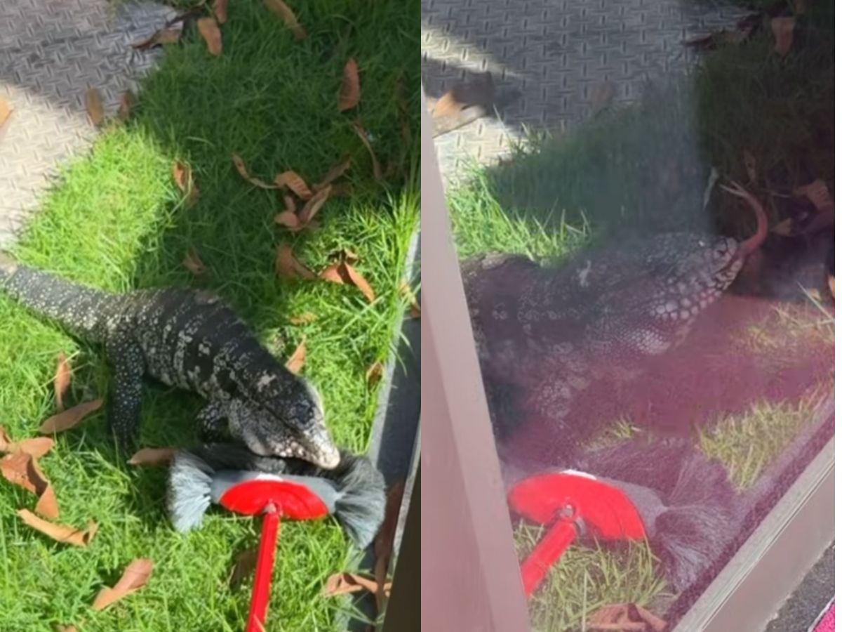 Reprodução/Instagram