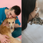 “Arraiá Pet”: Prefeitura de SP tem 288 cães e gatos à espera de novos lares