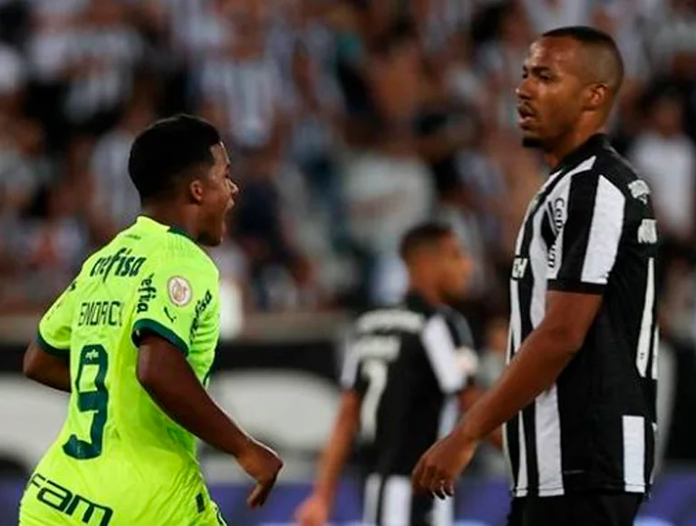 O Botafogo  teve a melhor campanha do primeiro turno e chegou a ter 13 pontos a frente do vice-líder, mas perdeu o primeiro lugar para o Palmeiras, que foi campeão do Brasileirão de 2023. Foto: Reprodução