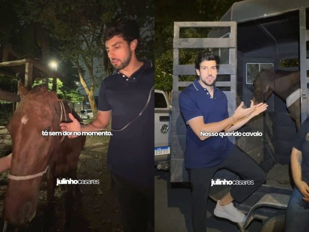 Cavalo é resgatado em estado crítico após denúncia de moradores na zona leste de SP