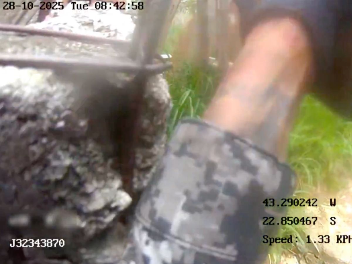 Reprodução/TV Globo Reprodução/TV Globo