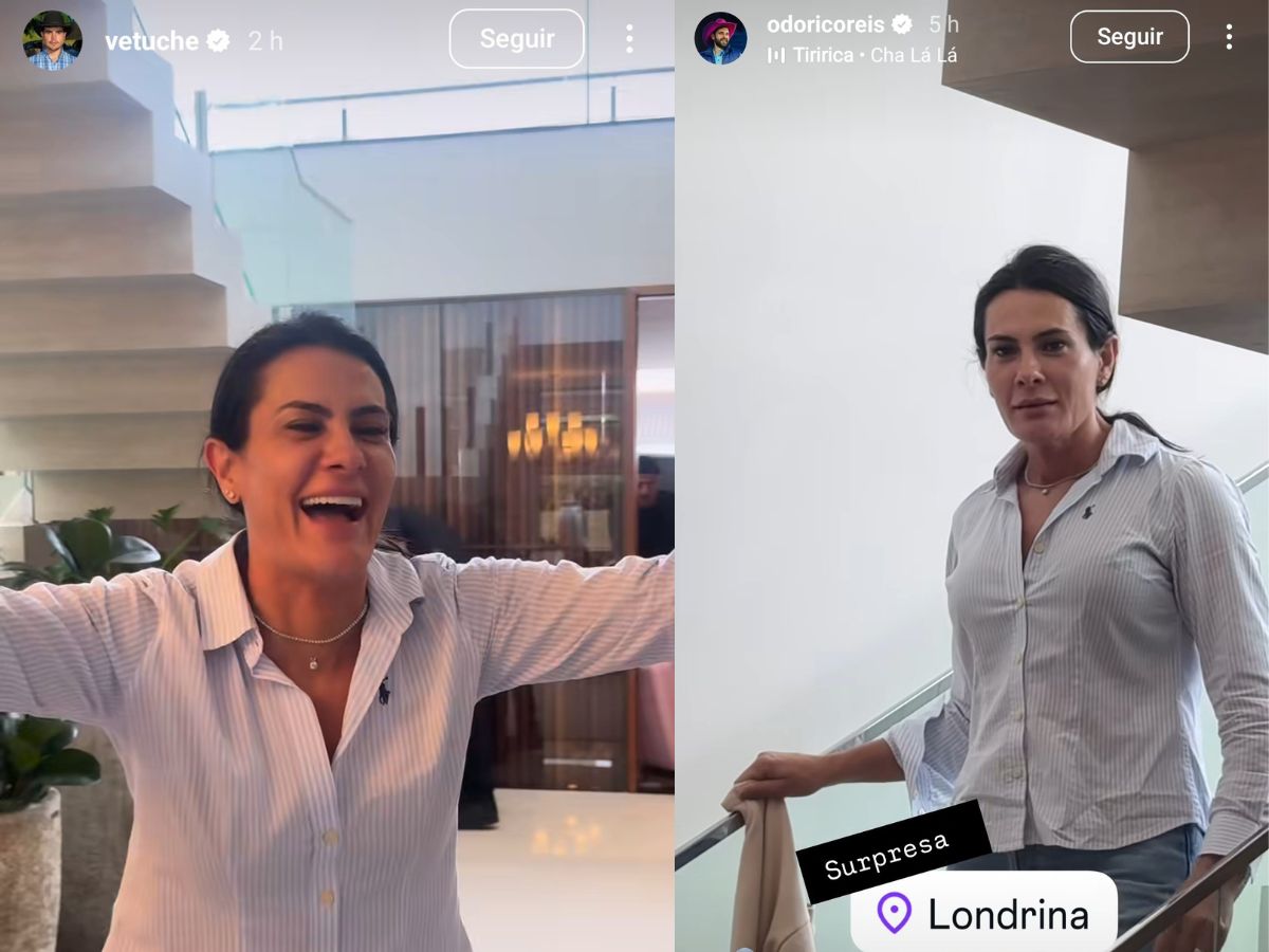 Reprodução/@vetuche Reprodução/@vetuche