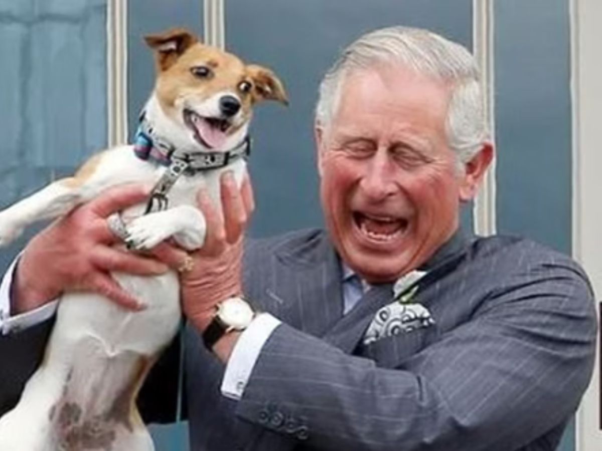 Reprodução/@clarencehouse