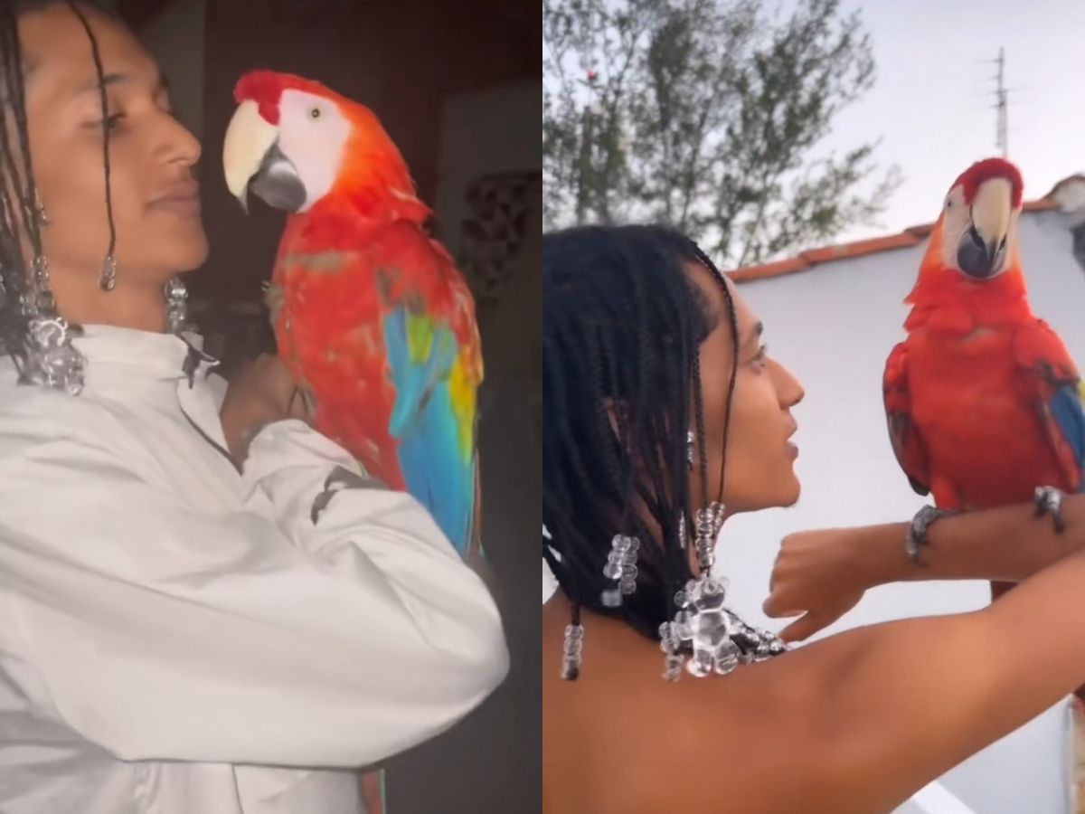 Reprodução/Instagram