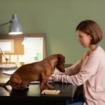 Cachorros farejam doenças antes dos sintomas: o olfato que salva vidas