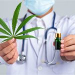 Cannabis medicinal: Anvisa autoriza cultivo no Brasil por empresas e instituições