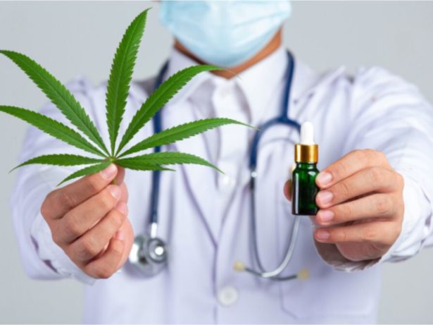 Cannabis medicinal: Anvisa autoriza cultivo no Brasil por empresas e instituições