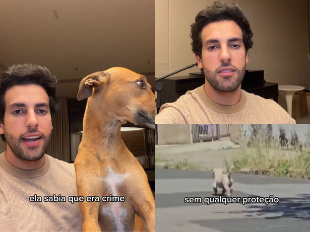 Advogada é presa em flagrante após abandonar cachorro idoso na rua em Campinas, SP