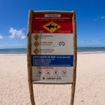 Vítimas de incidentes com tubarões em Pernambuco recebem alta da UTI
