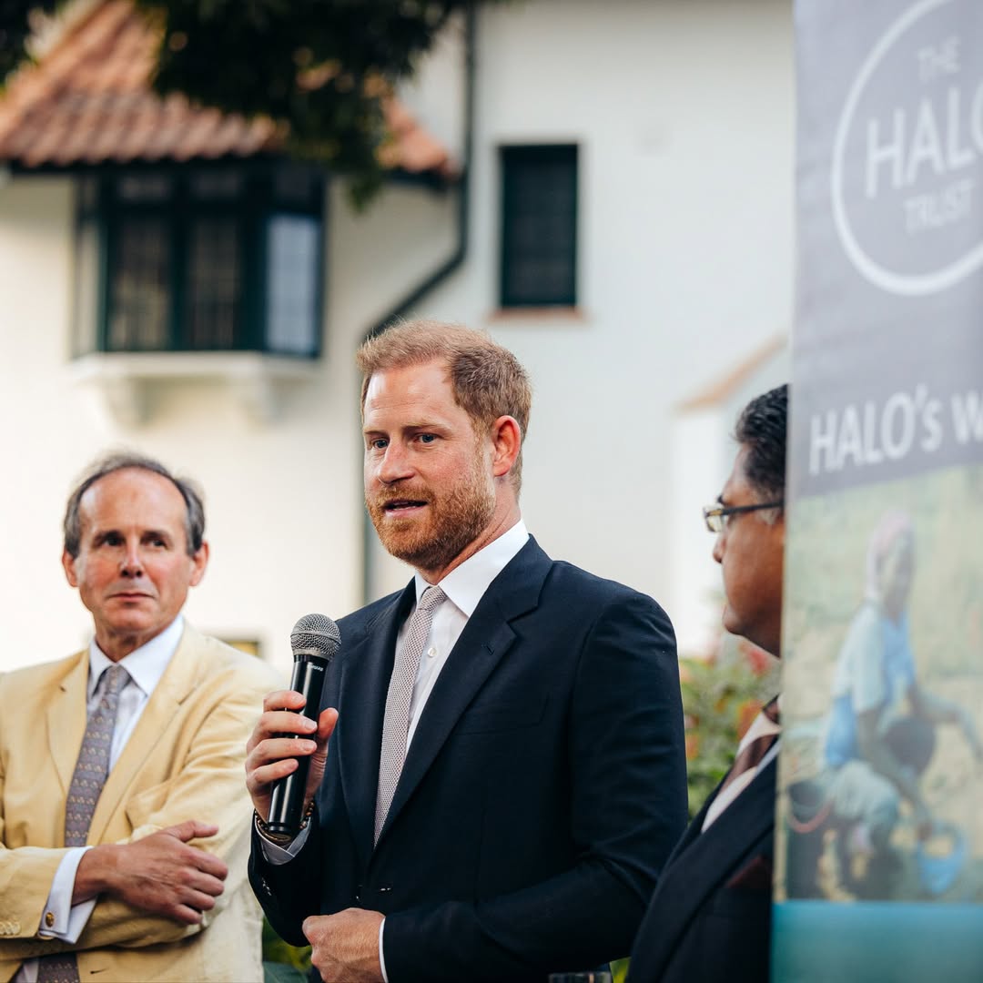 Reprodução: Instagram/The HALO Trust