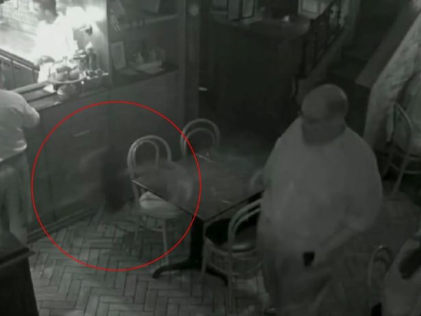 Ed Motta protagoniza briga em restaurante, arremessa cadeira e caso para na polícia