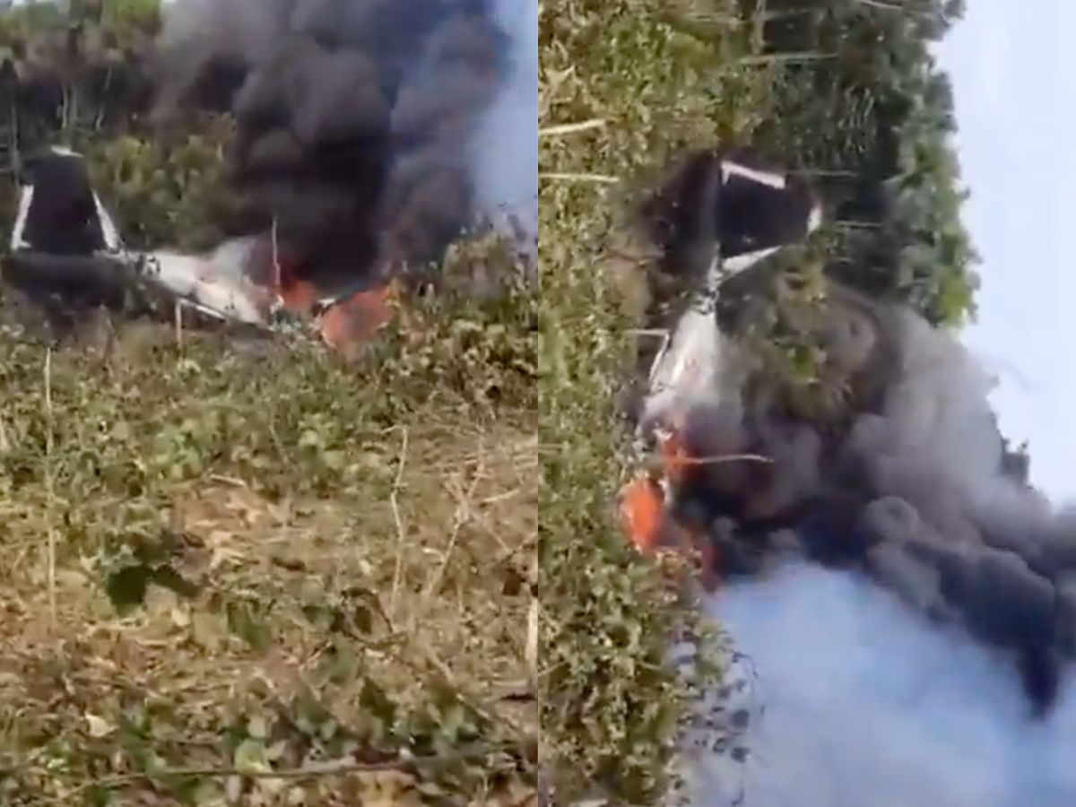 Reprodução / X