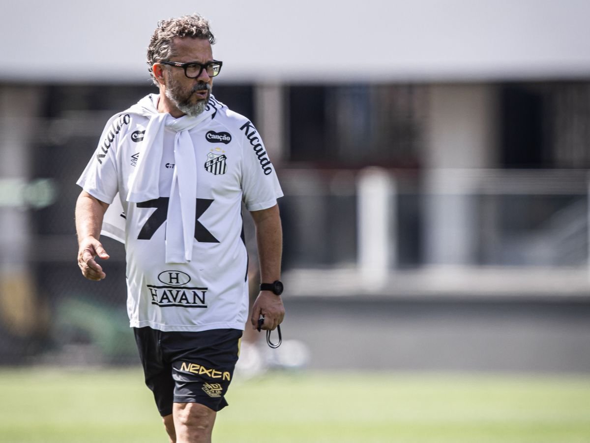 Foto: Raul Baretta/ Santos FC.