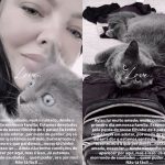 Tragédia em MS: incêndio destrói apartamento de sertaneja e mata gato de estimação