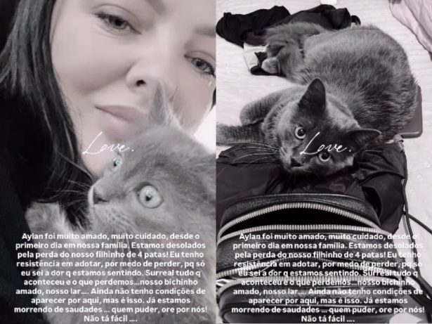 Tragédia em MS: incêndio destrói apartamento de sertaneja e mata gato de estimação