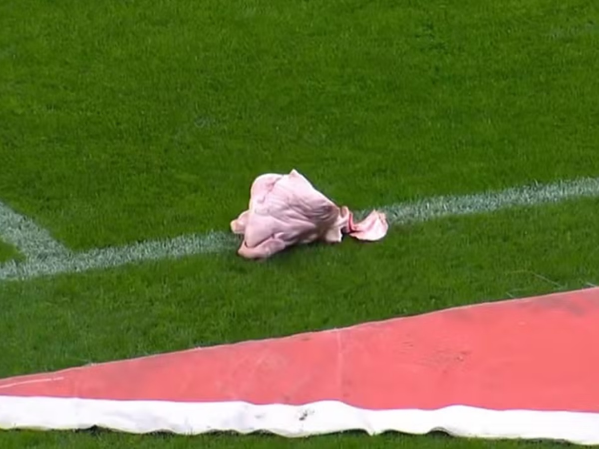 Cabeça de porco jogada no gramado do estádio do Corinthians — Foto: Reprodução

