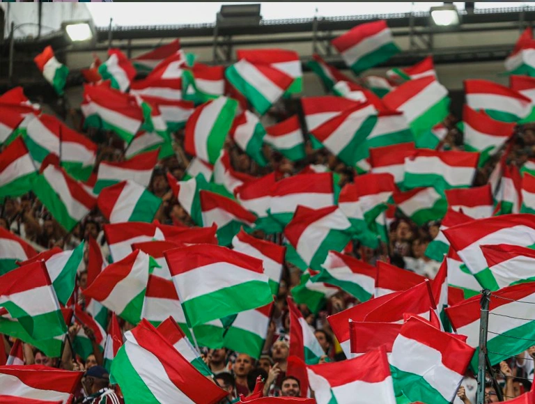 Torcida do Fluminense. Foto: Reprodução