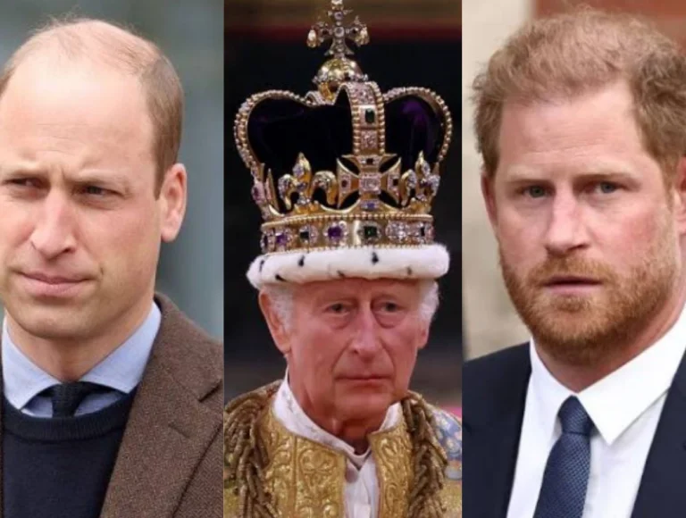 Tretas reais: William rejeita passar Natal com Harry e Meghan e Charles não convida caçula para seus 75 anos