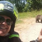 Turista italiano é atacado por urso na Romênia ao tentar alimentar filhote e registra o momento