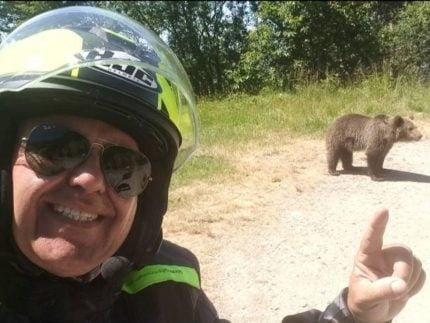 Turista italiano é atacado por urso na Romênia ao tentar alimentar filhote e registra o momento