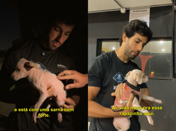 Equipe de Julinho Casares salva mais um filhote de cachorro abandonado em São Paulo