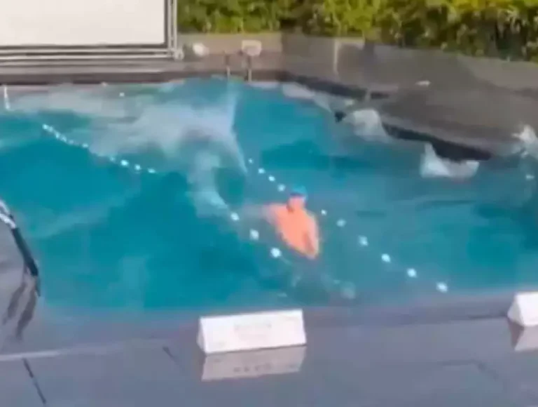 Vídeo mostra turista preso em piscina durante terremoto de magnitude 7.2 em Taiwan