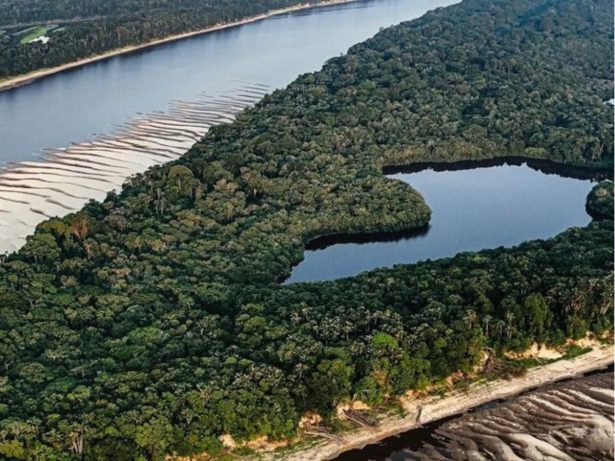 Ambientalistas acusam governo de minar compromissos climáticos em reação à licença do Ibama