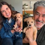 Bruce William: Filha de Bonner e Fátima Bernardes adota cão e pais celebram nas redes