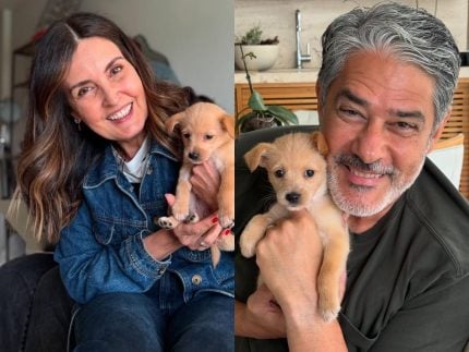 Bruce William: Filha de Bonner e Fátima Bernardes adota cão e pais celebram nas redes