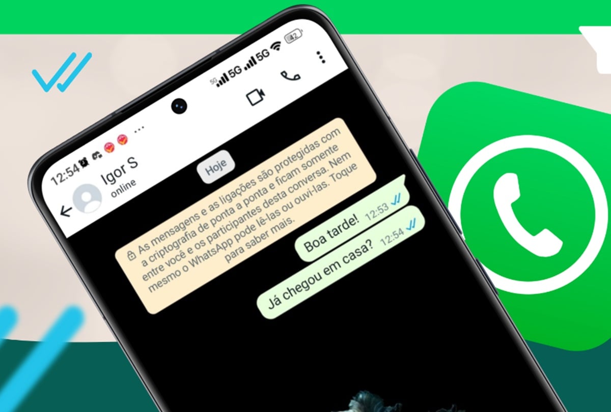 WhatsApp terá nova funcionalidade em breve; tiques indicarão print de tela da conversa / Reprodução