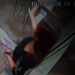 Novos áudios revelam últimas mensagens de Isabelle Caracristi antes da morte