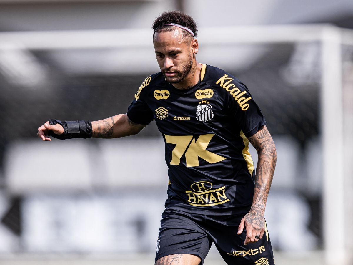 Foto: Raul Baretta/ Santos FC.