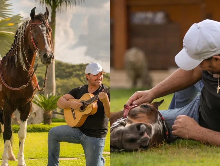 Quase vendido por R$ 7 milhões e com sêmen de R$ 10 mil, cavalo de Eduardo Costa morre