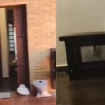 César Tralli detalha, ao vivo, prisão de Hytalo Santos em operação da Polícia Civil
